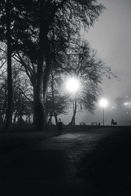 Foggy Park at Night