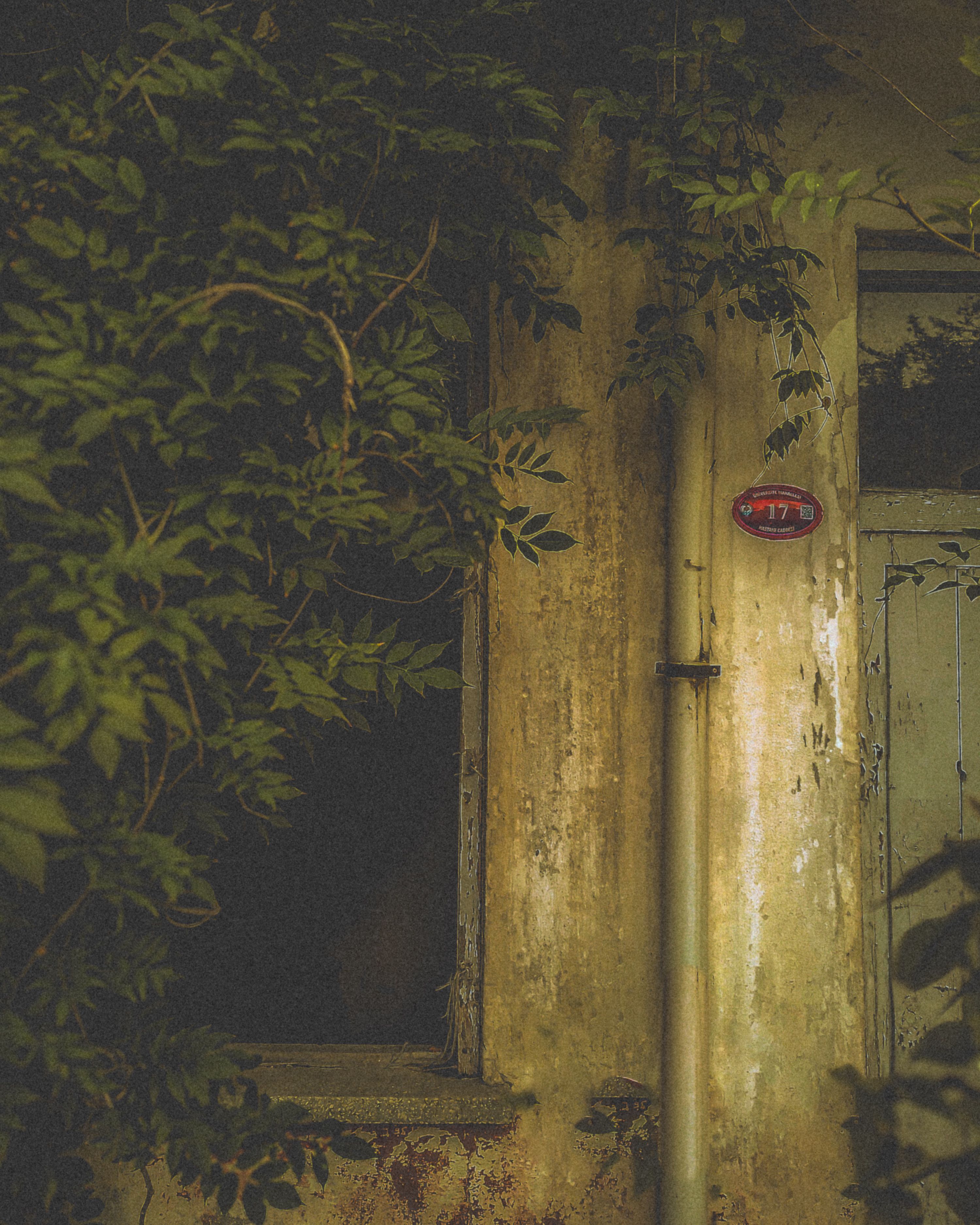 Old Doors Photos, Download The BEST Free Old Doors Stock Photos &amp; HD Images