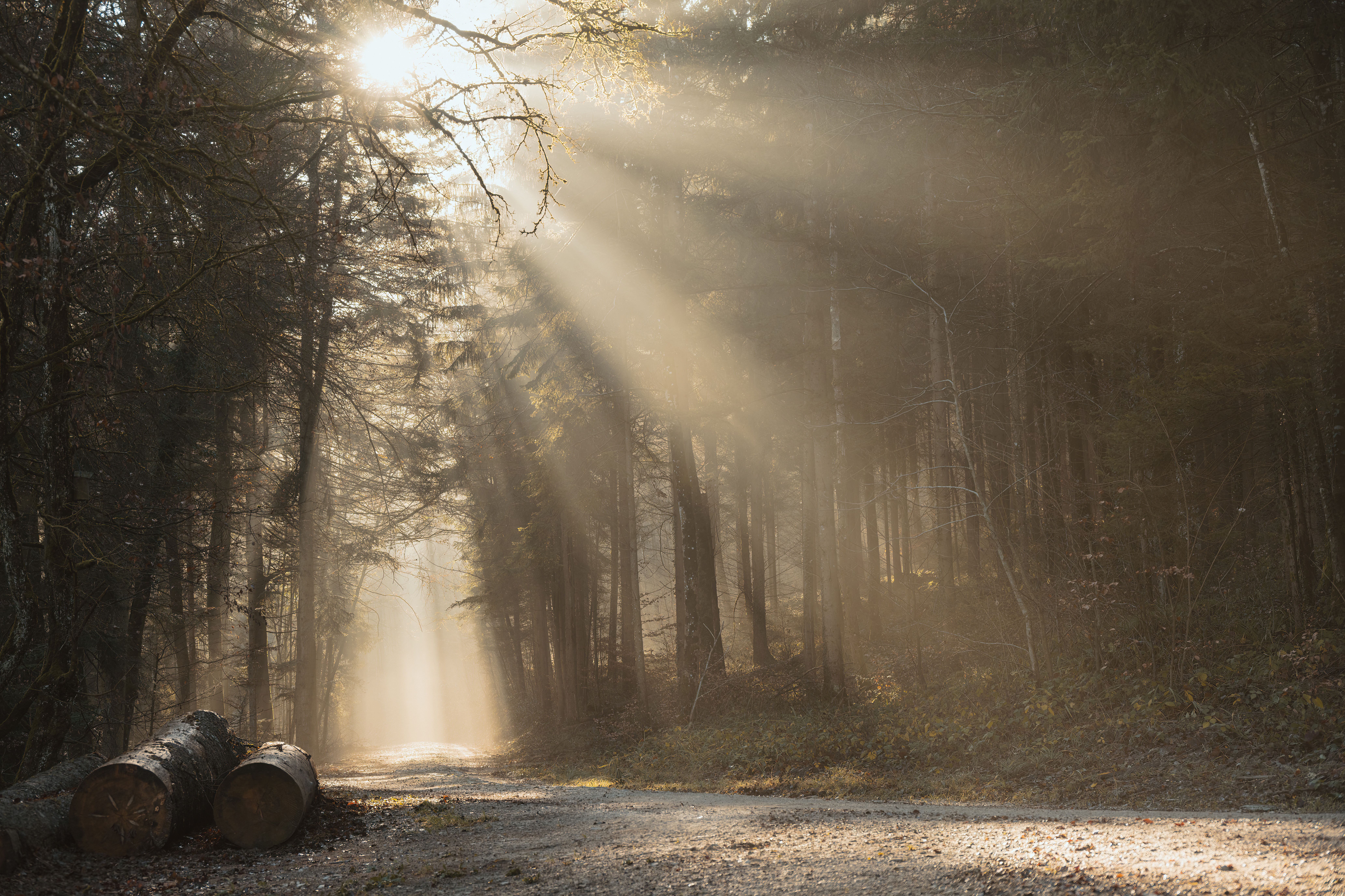 Cumulating Light Photos, Download The BEST Free Cumulating Light Stock ...