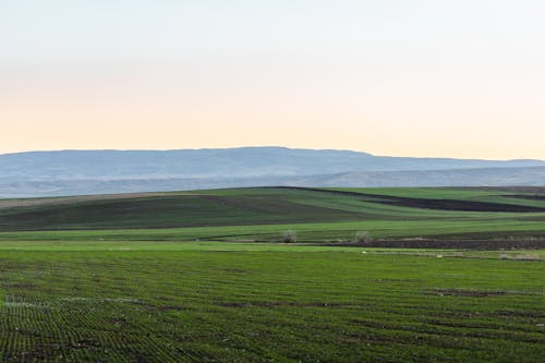 Darmowe zdjęcie z galerii z krajobraz, pole, pole uprawne