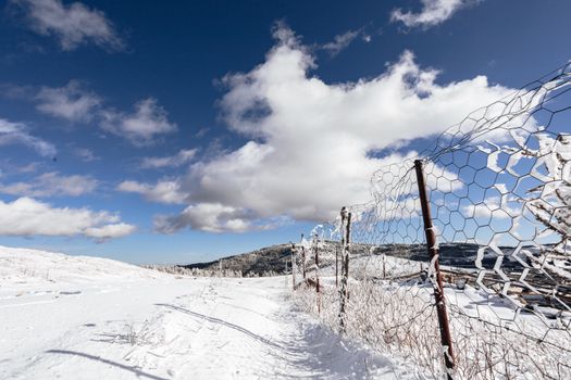 Tranquil snowy landscape featuring a rustic fence under a clear blue sky.