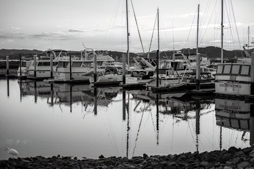 Black and White Photo of Boats Moored in a Harbor 