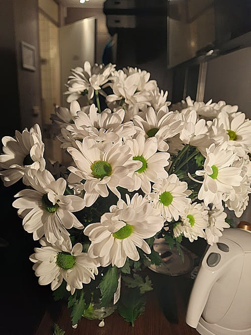 Foto stok gratis bunga liar, bunga putih, bunga-bunga