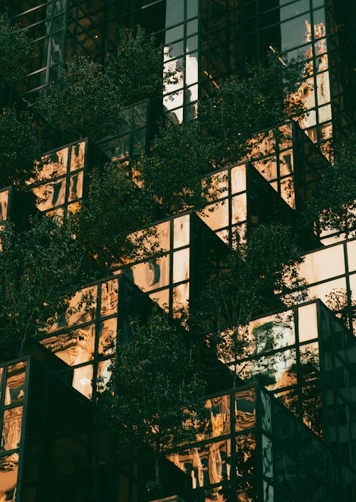 Glass Cube Balconies with Potted Trees