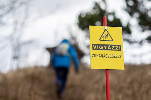 Foto profissional grátis de adulto, água, alerta