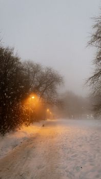 Misty winter night on a snow-covered urban road, illuminated by glowing streetlights.