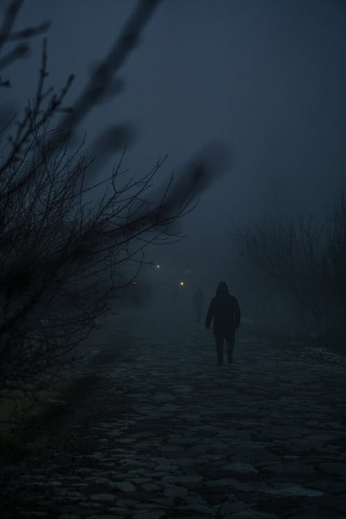 Evening Fog Over the Cobbled Walkway