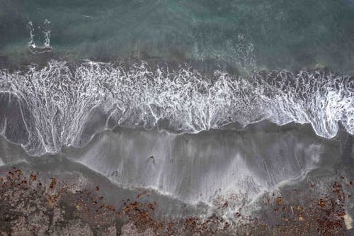 招手, 海, 海洋 的 免费素材图片