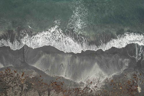 招手, 海, 海洋 的 免费素材图片