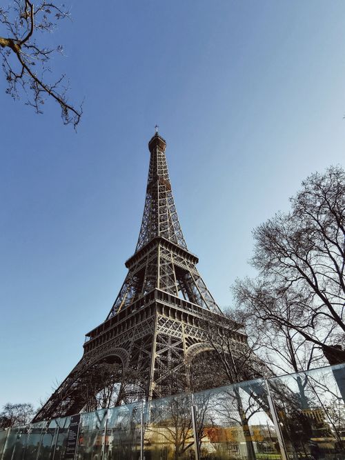 Free Iconic Eiffel Tower framed by trees under blue sky, highlighting Paris landmark. Stock Photo