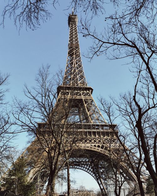 Free Iconic Eiffel Tower framed by bare winter branches against a clear sky. Stock Photo