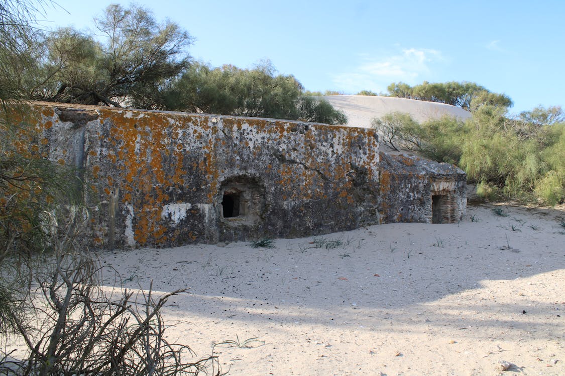 batería de Sangenis - fotografia 1