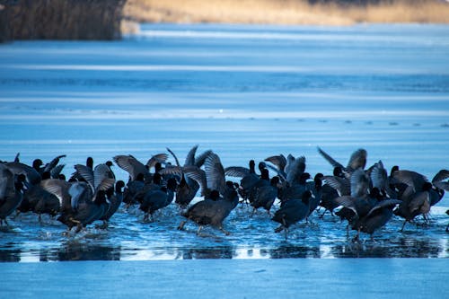 Foto d'estoc gratuïta de natureworld