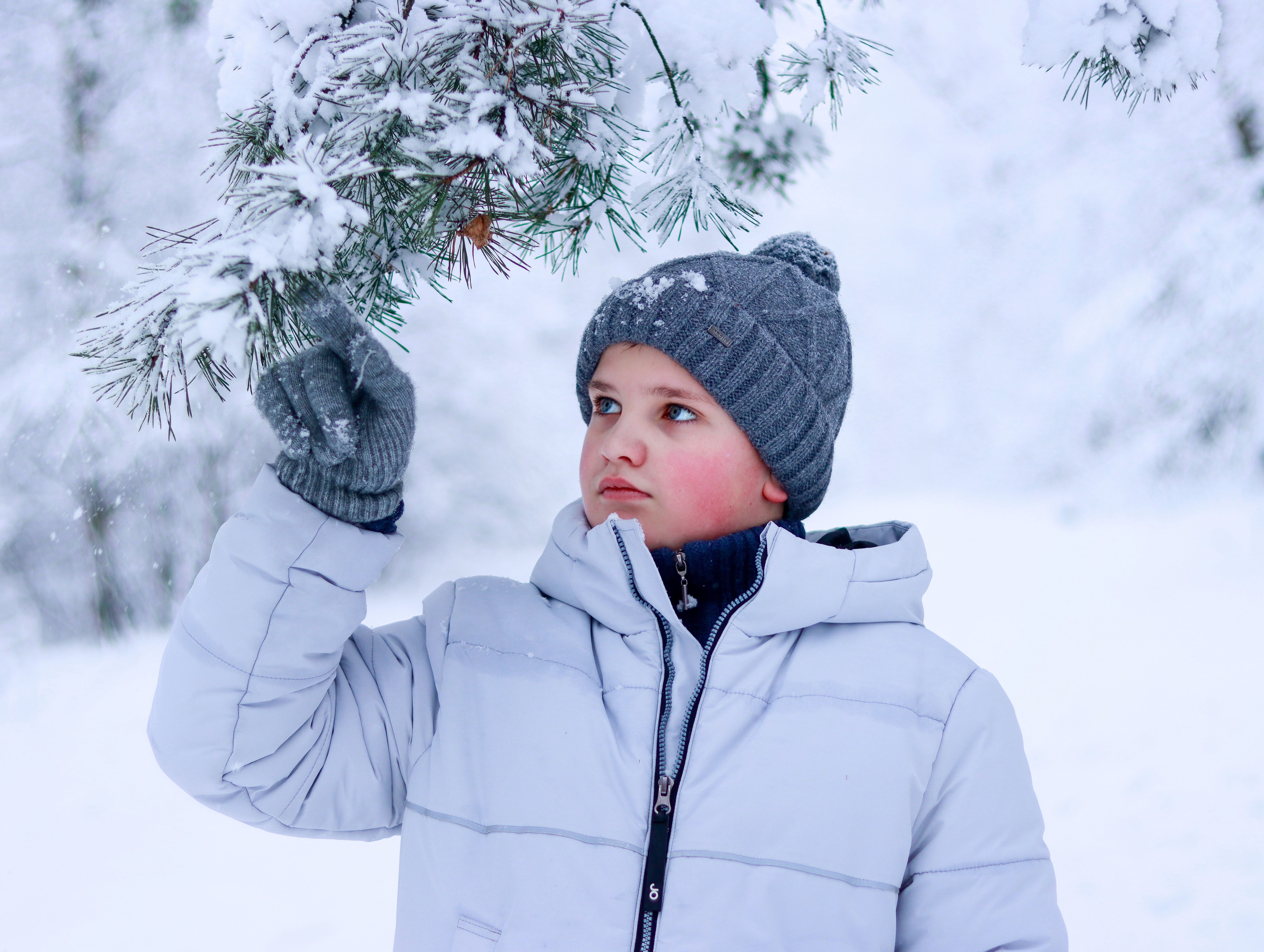 Boy in Beanie and Jacket Touching Snow on Conifer · Free Stock Photo