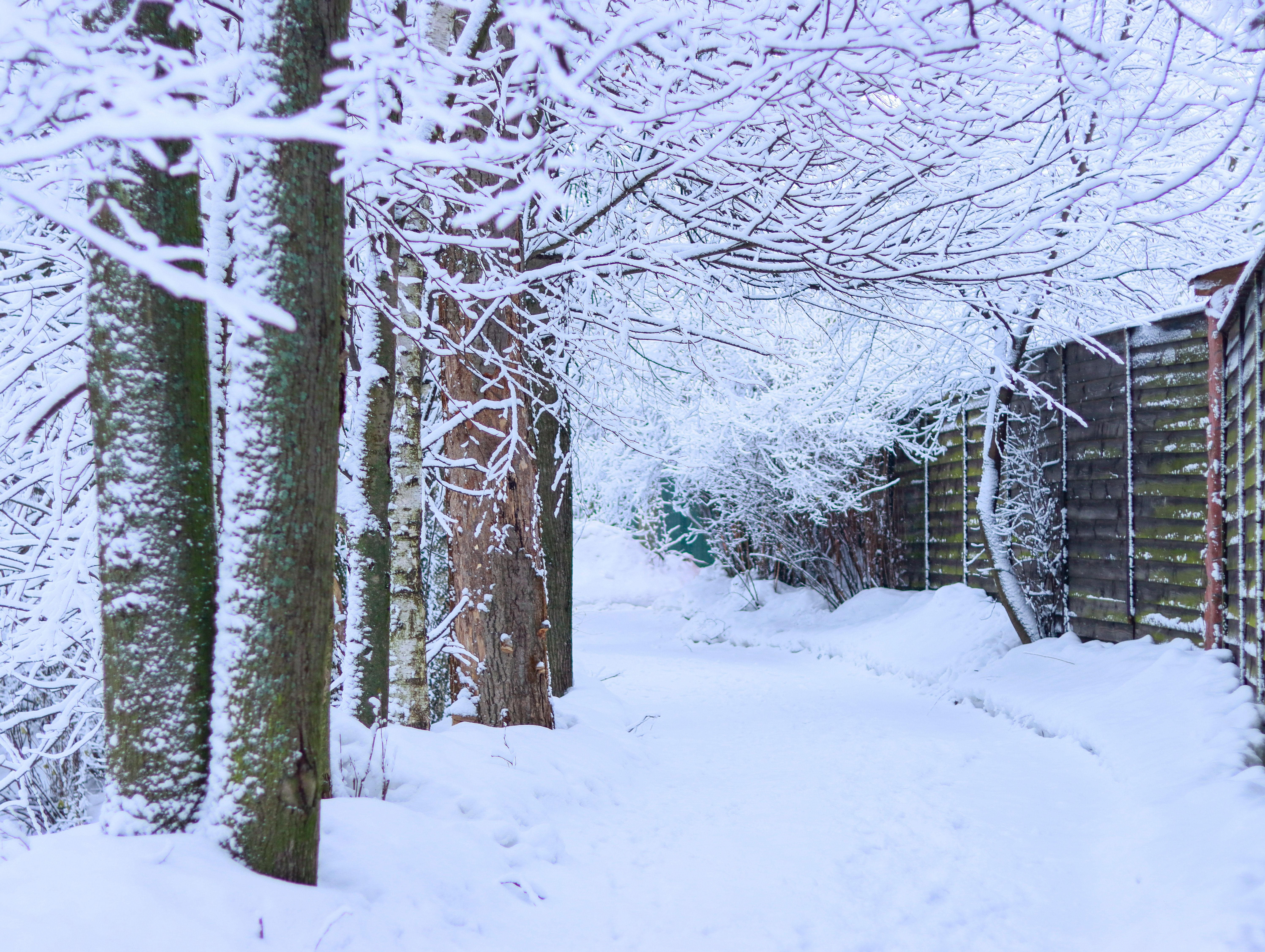 UK Winter Resilience Fund Opens Applications, fundsforNGOs Reports