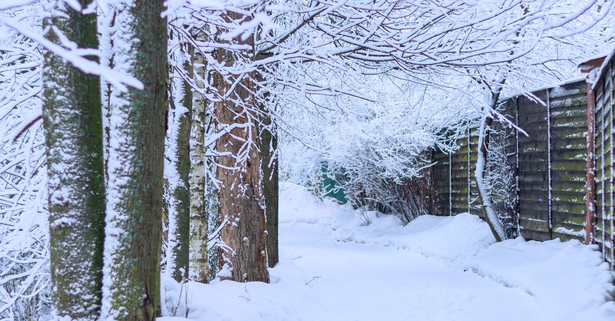UK Winter Resilience Fund Opens Applications, fundsforNGOs Reports