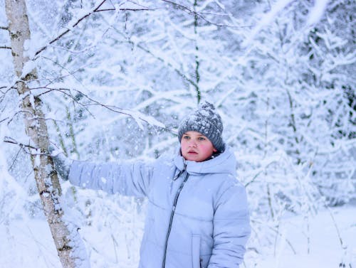 Бесплатное стоковое фото с ветви, деревья, зима