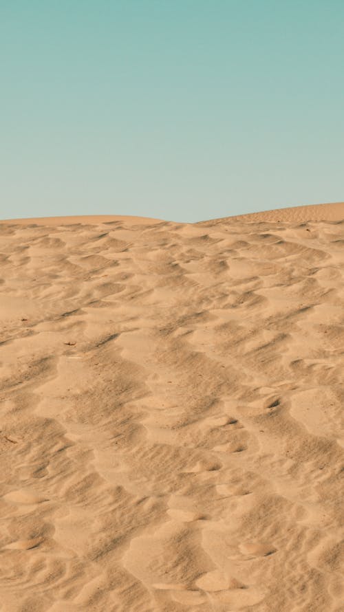 Fotobanka s bezplatnými fotkami na tému duna, jasná obloha, piesok