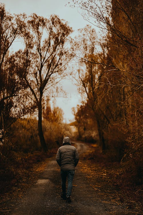 Fotobanka s bezplatnými fotkami na tému chôdza, dedinský, jeseň