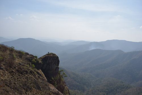 Free Parunthumpara Stock Photo