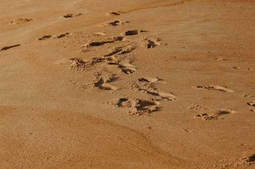 Footprints on Wet Beach Sand