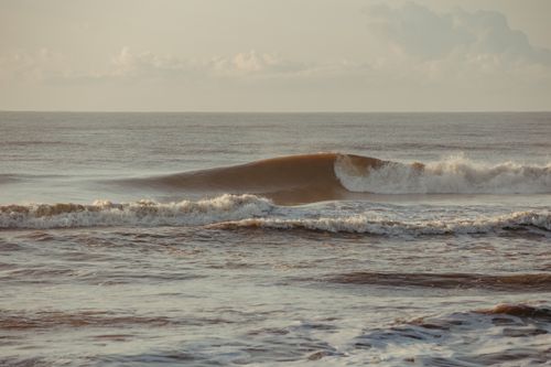 Free A serene view of ocean waves rolling under a soft sunrise sky. Stock Photo