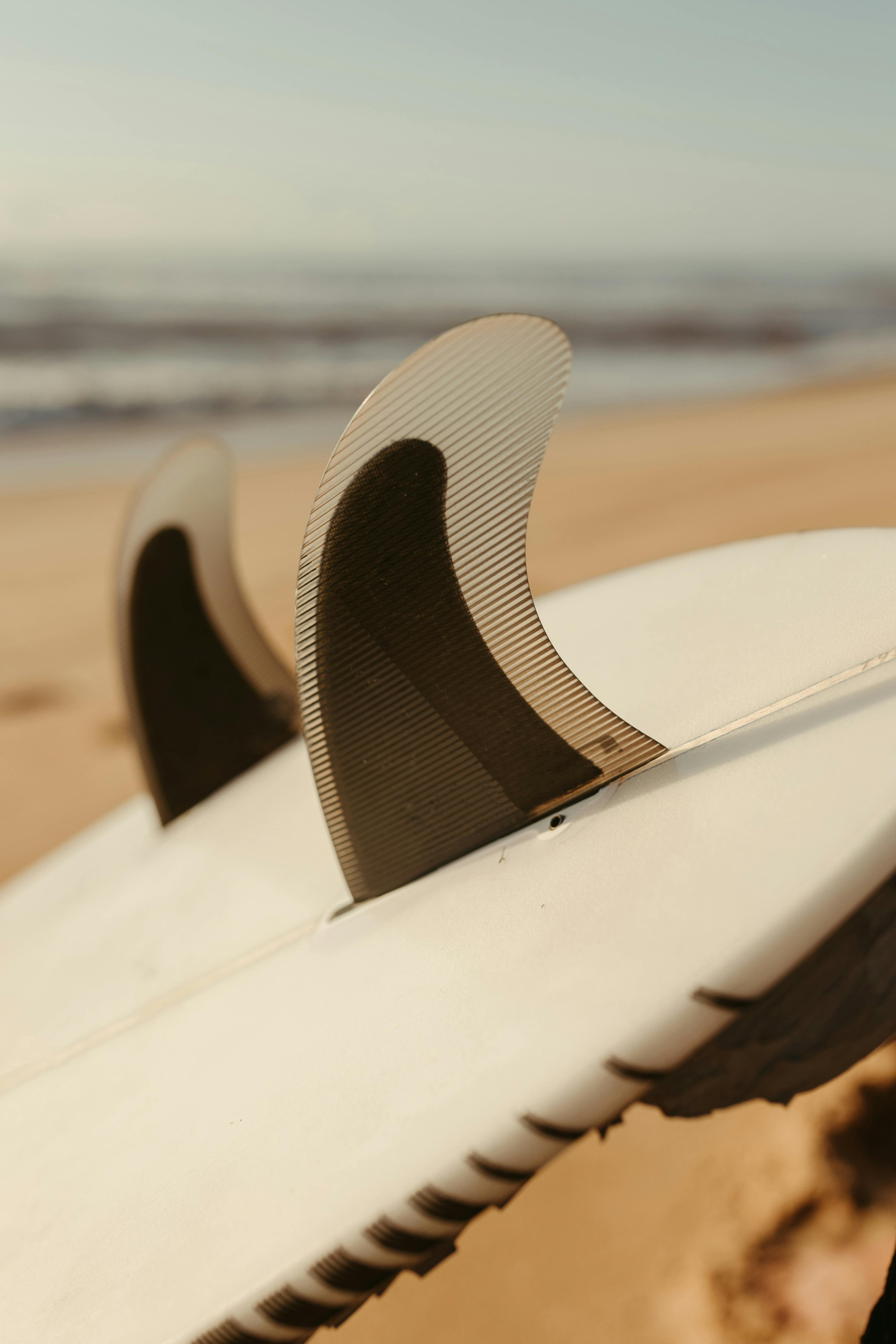 Fins 2024 free surfboards