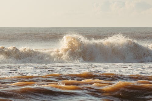 Foamy Surf Wave Crashing on a Beach
