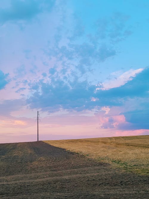 Fotos de stock gratuitas de agricultura, campo de grano, cielo