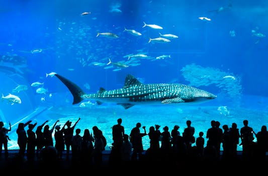 Okinawa, Japan photo 7