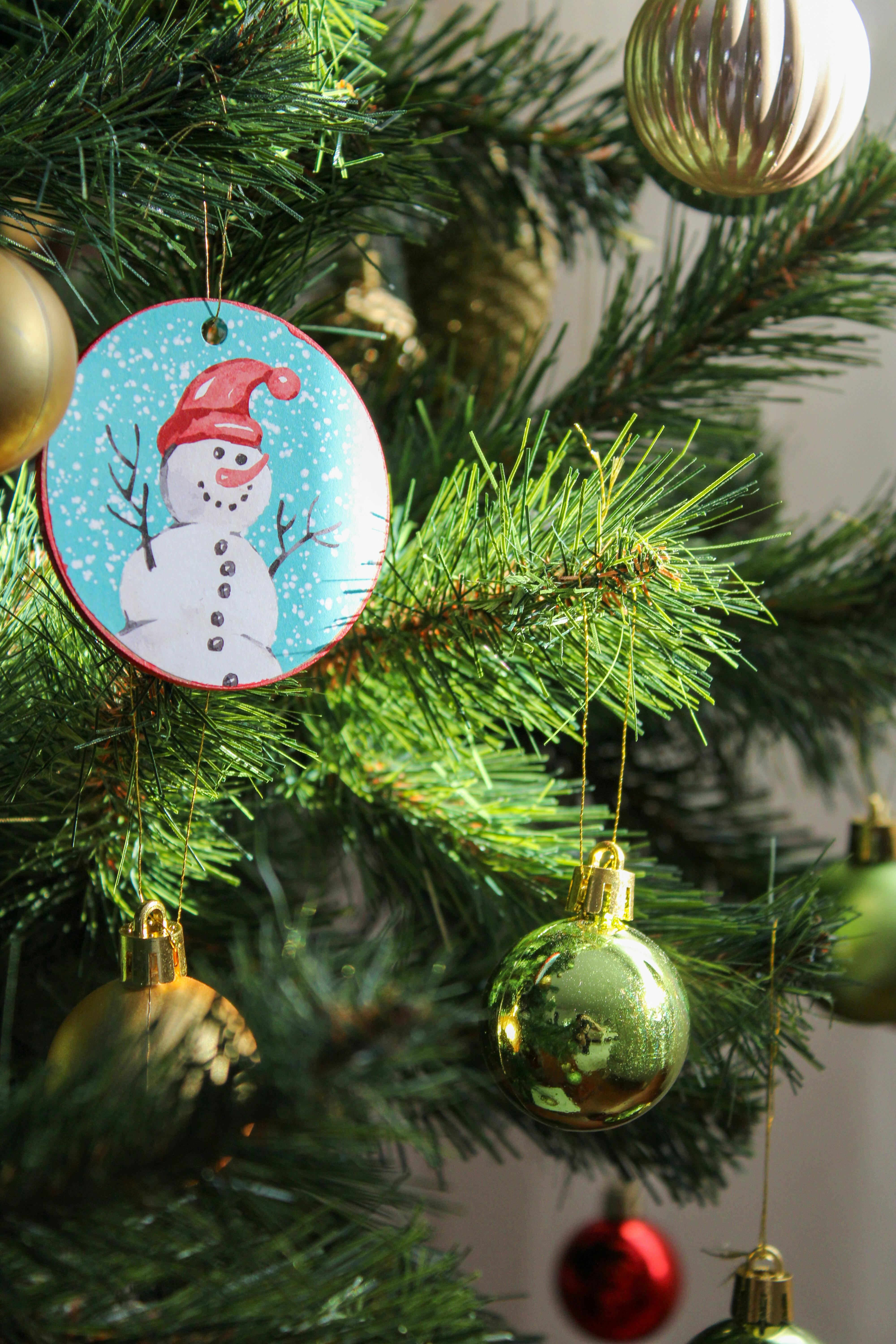 Begüm Arıcı 사진