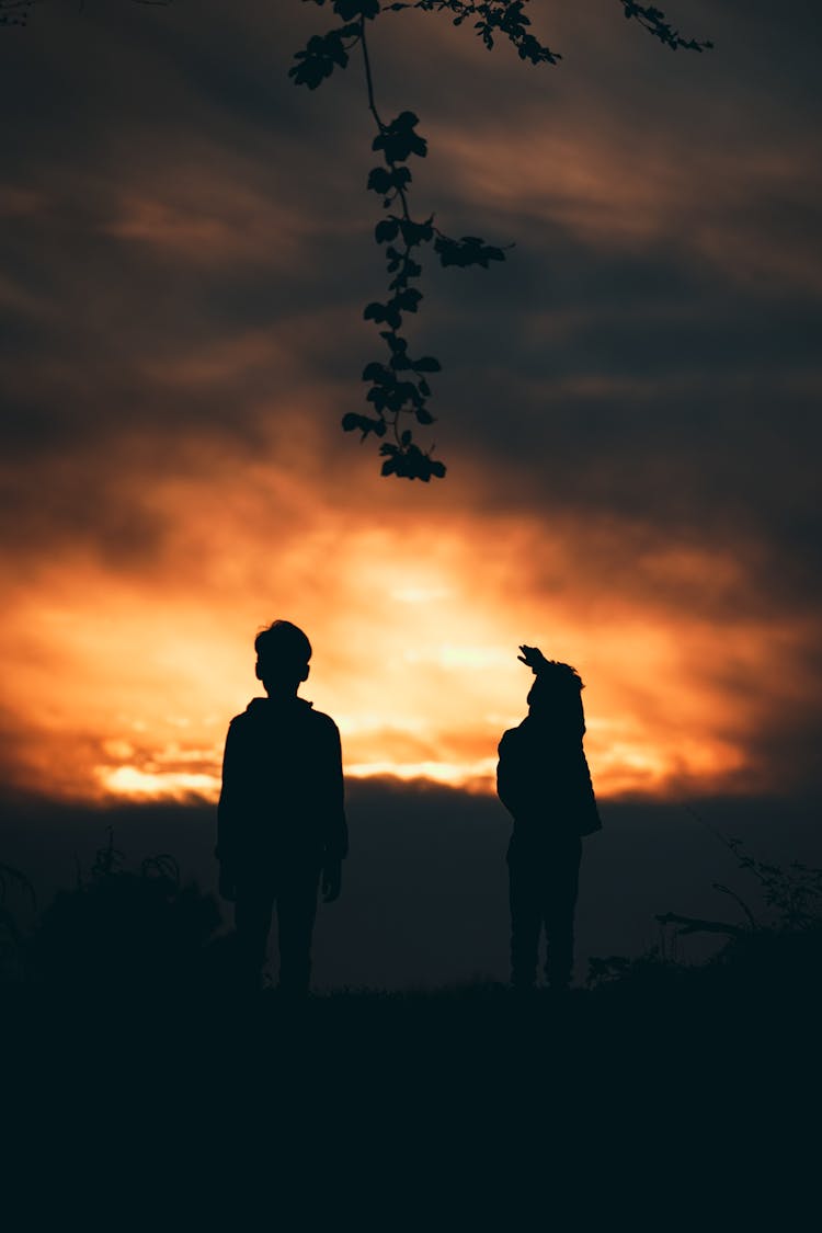 Silhouette Of Kids Looking At Sunset Sky 