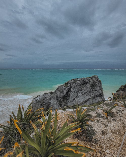 Rocky Ocean Shore