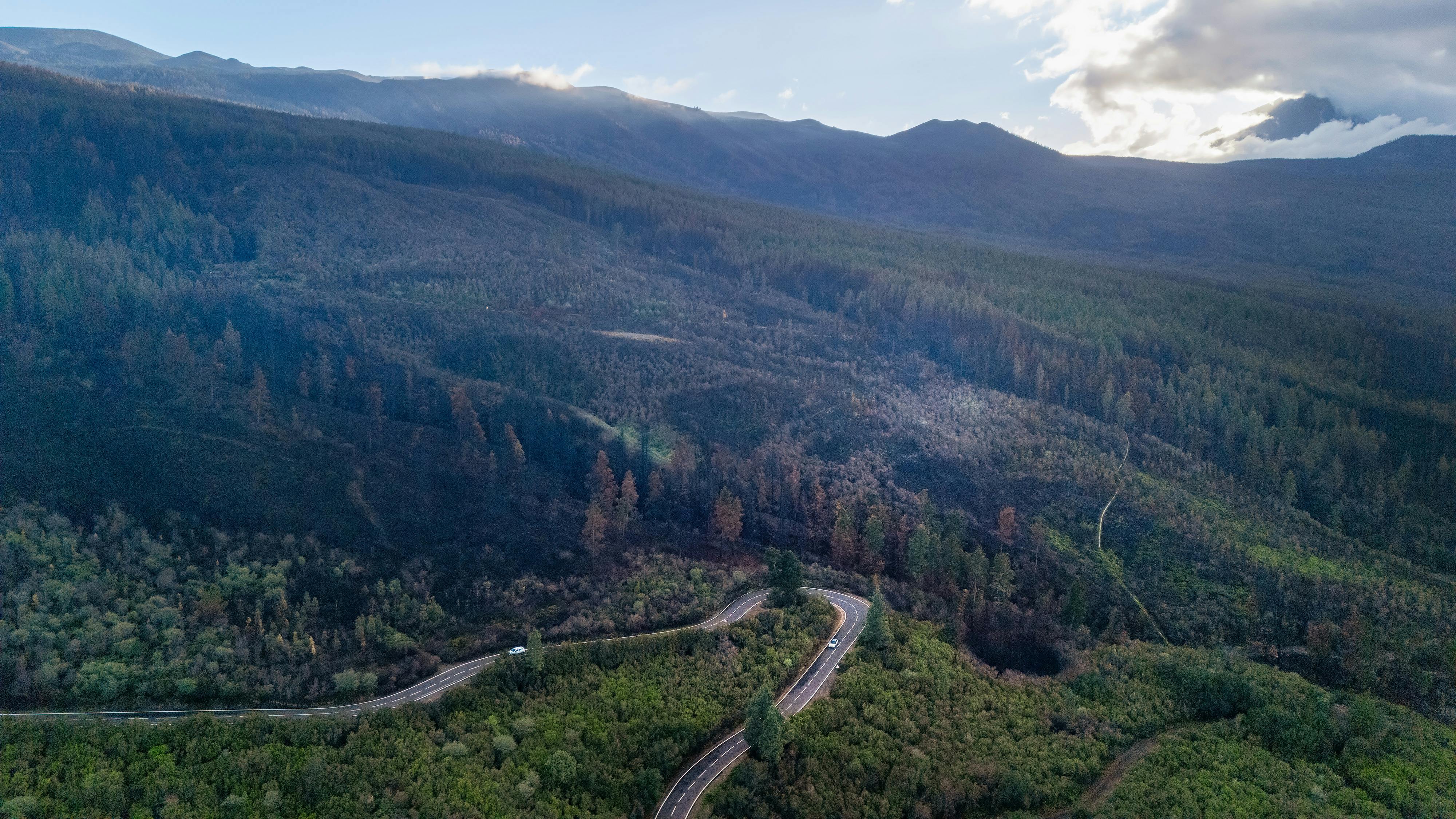 The FIRE road map: Early retirees explain their 2-part investment strategy to hit financial independence — Photo by Atlantic 