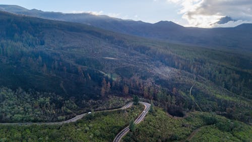 High Angle View of a Winding Road and Forest in the Mountains