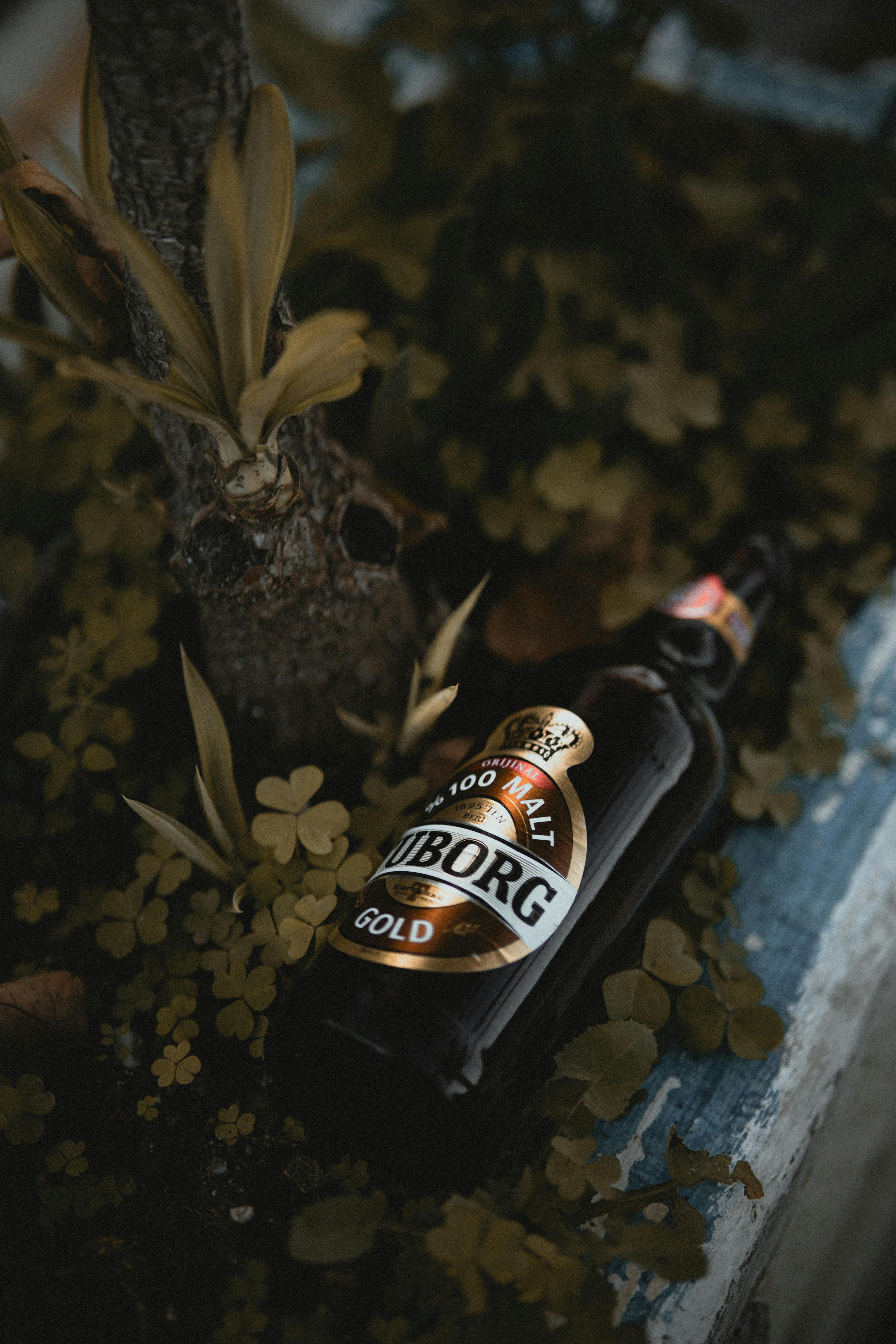 Bira 91 (bira91beer) - Profile | Pinterest