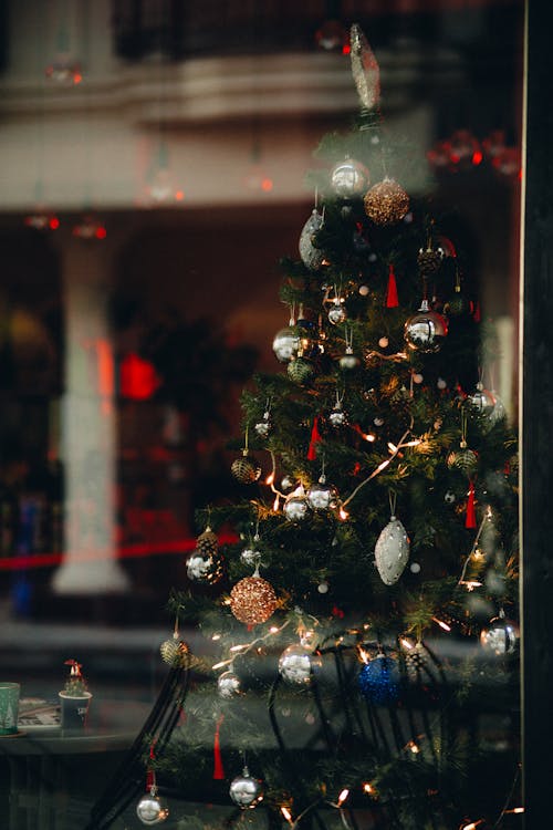 Foto d'estoc gratuïta de arbre de Nadal, cafeteria, decoració