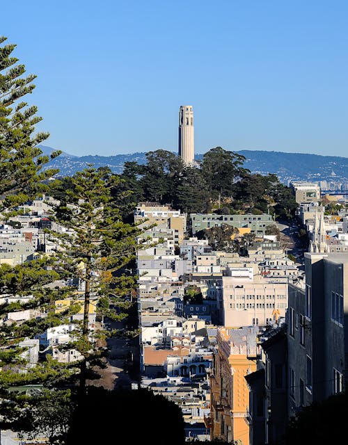 Gratis lagerfoto af by, byer, coit tower