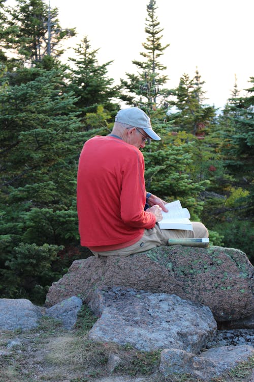 Man Sitting on Rock in Forest, Reading Book