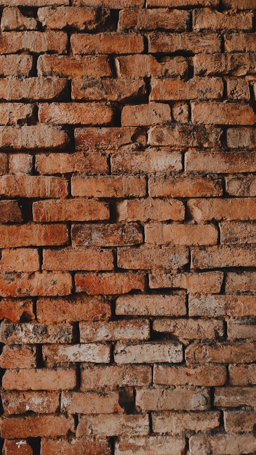 Close-up of an Old Brick Wall 