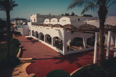 Palm trees lit at a tropical resort, photo by Vintage Laka on Pexels