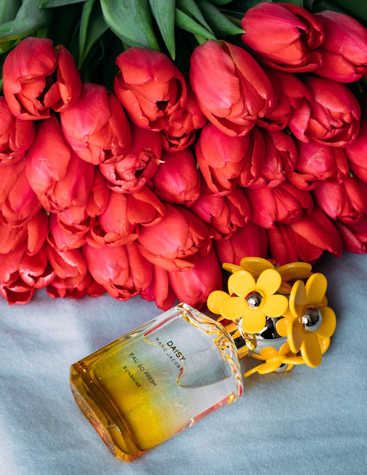 Red Tulips Near Perfume Bottle