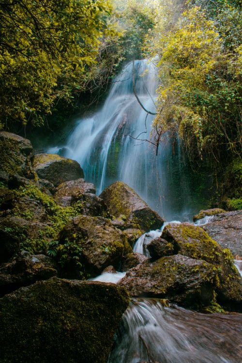 Free A tranquil waterfall cascading through a lush tropical forest with vibrant green foliage and moss-covered rocks. Stock Photo
