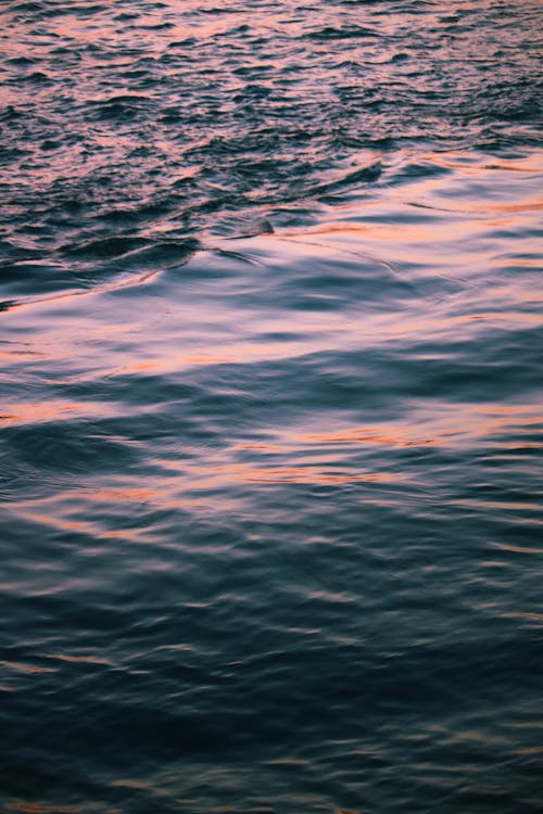 Waves in a Sea During Sunset 