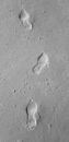 Foot Prints on Gray Surface