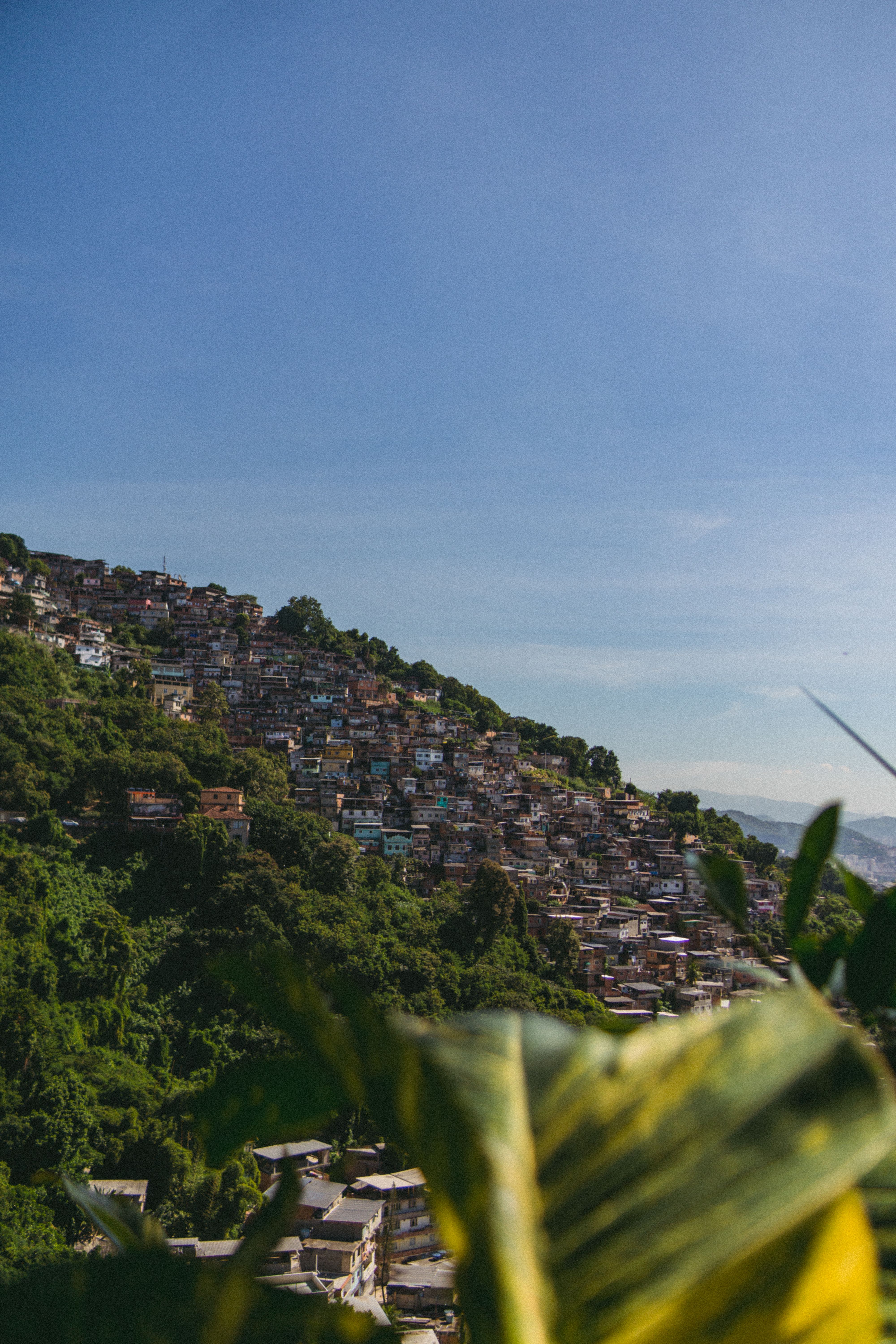 View of Houses on the Hill in Rio De Janeiro, Brazil · Free Stock Photo