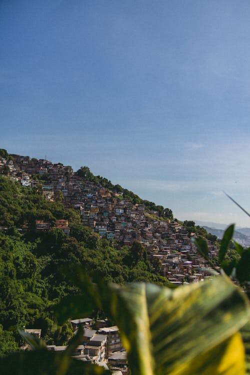 Foto stok gratis brasil, bukit, fokus selektif