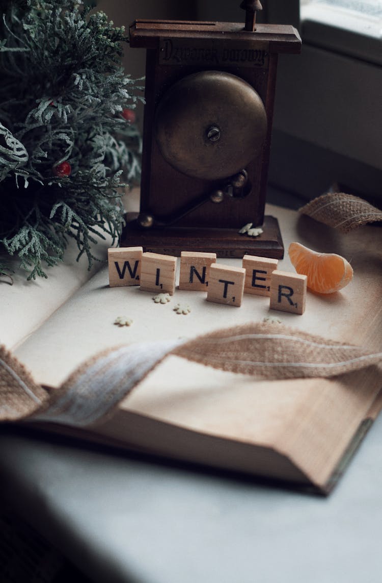 Vintage Winter Still Life