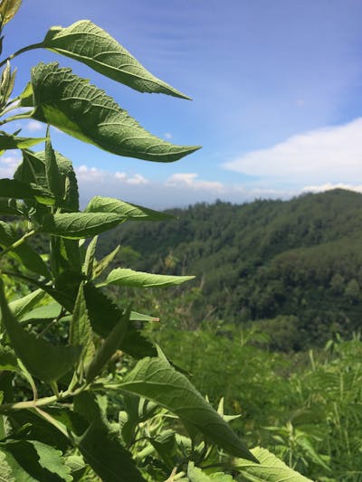 激励初中生奋进的名言 激励初中生奋进的名言简短