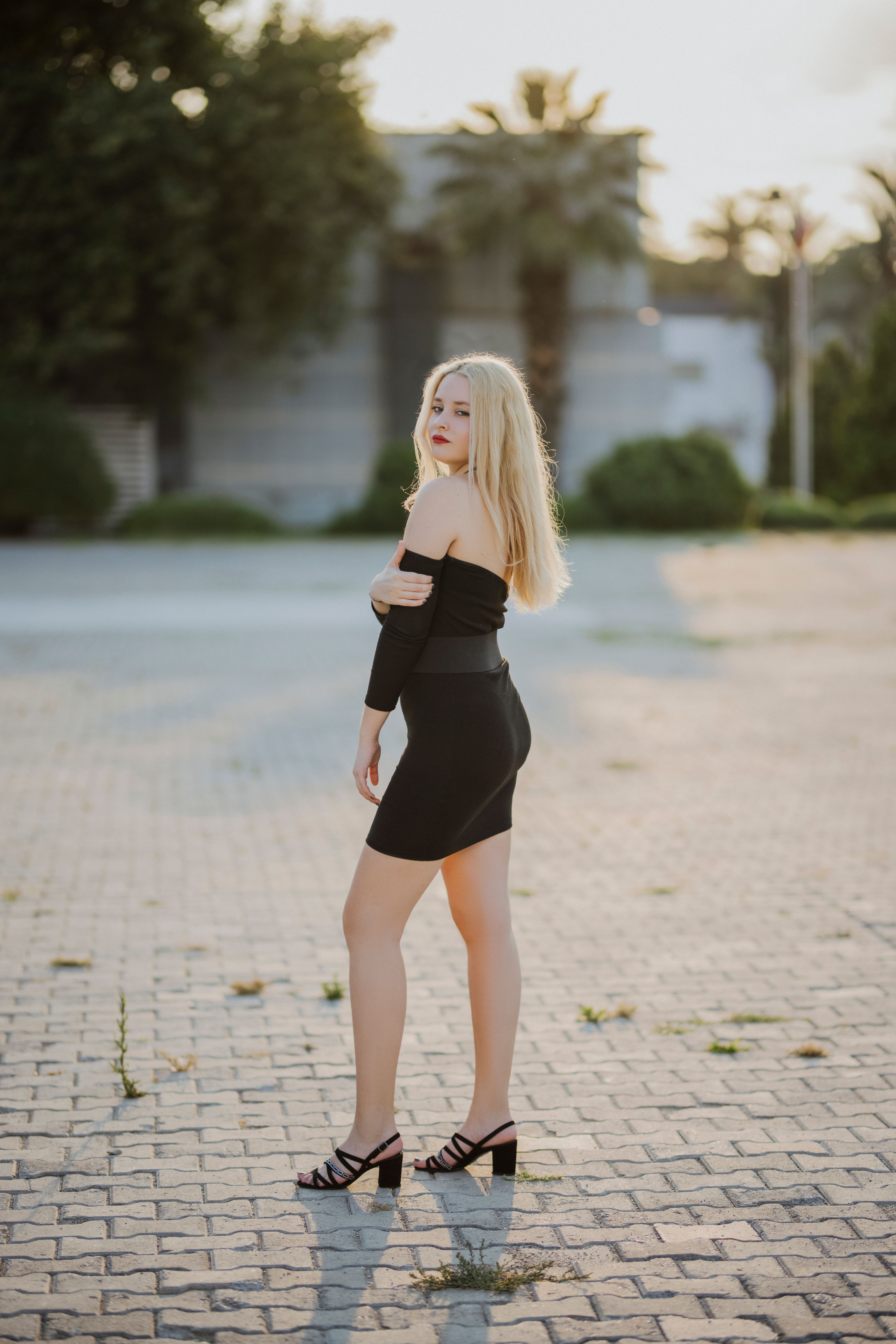 Free Snm Stock Photo